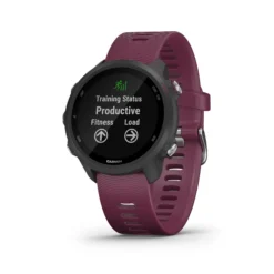 Garmin Forerunner 245 Orologio Da Polso - Berry, Nero